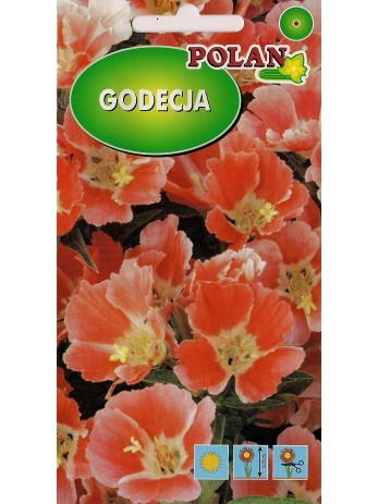 godecja-orange-glory-pomaranczowo-czerwona.jpg
