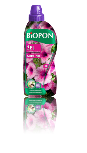 Surfinie 1l m - 19.12.14.png