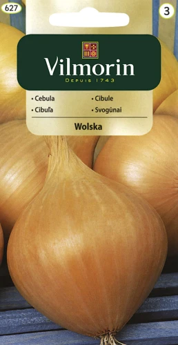 vilmorin zdjęcia 297.jpg