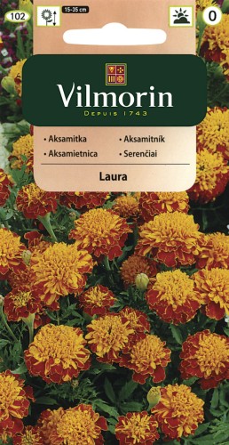 vilmorin zdjęcia 001.jpg