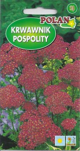 Krwawnik pospolity czerwony 0,2g (Achillea millefolium) nasiona