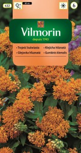 Trojeść bulwiasta 1g nasiona 