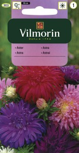 Aster chiński chryzantemowy mix 1,5g nasiona (callistephus chinensis) 