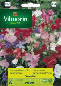 Groszek pachnący Sweetie niski,mieszanka 1g