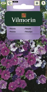 Petunia zwisająca typ Surfinia 0,1g (petunia hybrida pendula) nasiona