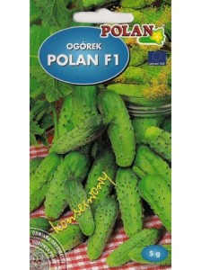 Ogórek Polan F1 5g nasiona