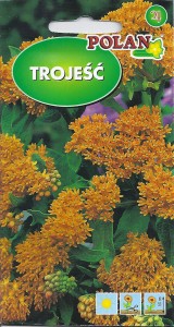 Trojeść pomarańczowa 0,3g (Asclepias tuberoza) nasiona 