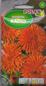 Nagietek Radio pomarańczowy pełny 3g nasiona (Calendula officinalis)