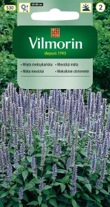 Mięta meksykańska  0,1g nasiona 