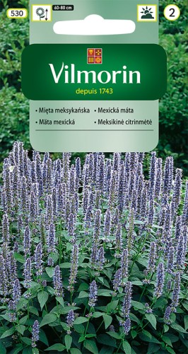 vilmorin zdjęcia 256.jpg