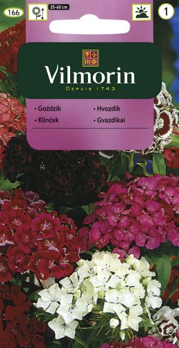 goździk  brodaty, kamienny mieszanka kolorów  1g nasion Vilmorin