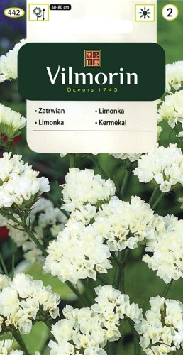 vilmorin zdjęcia 212.jpg