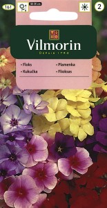 Floks,Płomyk letni wielkokwiatowy 1g (Phlox drummondi grandiflora) nasiona  