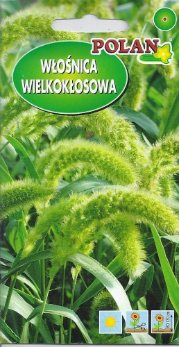 włośnica.jpg