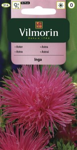 Aster chiński igiełkowy  Inga purpurowo-różowy 0,5g nasiona (Callistephus chinensis)      