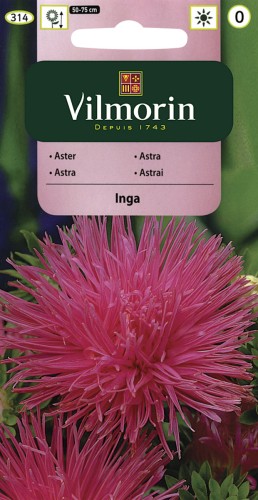 vilmorin zdjęcia 126.jpg