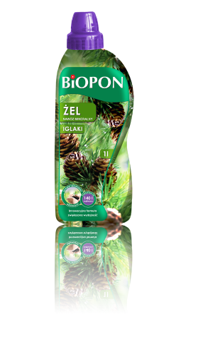 Iglaki 1l m - 29_12_14.png