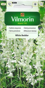 Szałwia omączona White Bedder 500mg (Salvia farinacea) nasiona