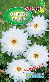 Onętek,Kosmos Double Click biały 0,2g (Cosmos bipinnatus) nasiona