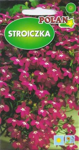Stroiczka różowa 0,3g (Lobelia erinus ) nasiona  