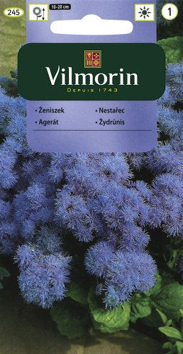 vilmorin zdjęcia 110.jpg