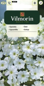 Gipsówka wytworna biała, Łyszczec 5g (Gypsophila elegans) nasiona 