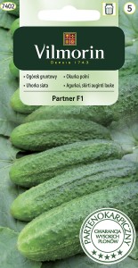 Ogórek partenokarpiczny Partner F1  3g nasiona HIT odporny na choroby