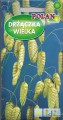 drzaczka wielka.jpg