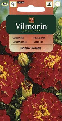 vilmorin zdjęcia 864.jpg