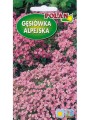 gesiowka-alpejska-rozowa.jpg