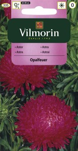 Aster chiński peoniowy Opalfeuer 0,5g nasiona (Callistephus chinensis)          