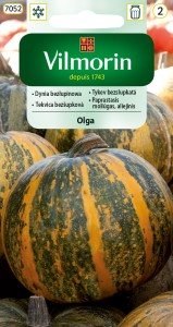 Dynia bezłupinowa Olga 2g nasiona