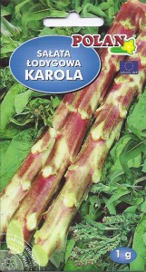 Sałata łodygowa (szparagowa) Karola 1g "głąbik krakowski" Lactuca sativa (nasiona)