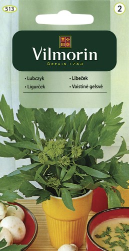 vilmorin zdjęcia 241.jpg