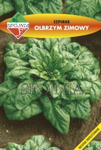 Szpinak Olbrzym Zimowy 20g nasiona 