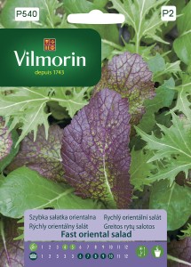 Szybka sałatka orientalna 2g