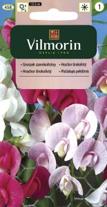Groszek szerokolistny wieloletni  mix 1g ( Lathyrus latifolius) nasiona 